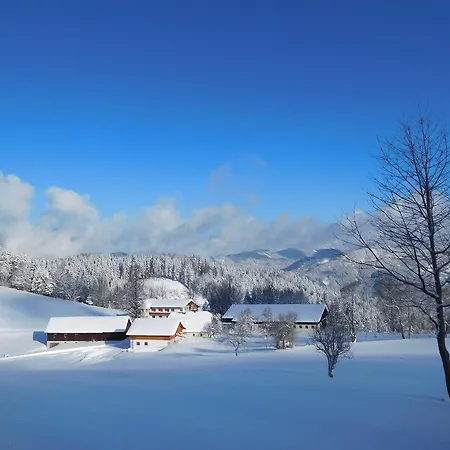 Urlaub Am Bauernhof Blamauer Kohr Farm stay Goestling an der Ybbs