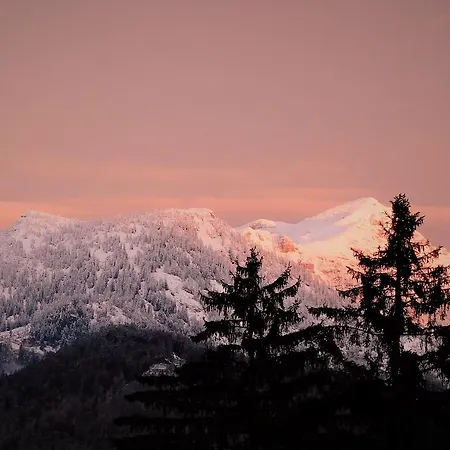 Urlaub Am Bauernhof Blamauer Köhr * Göstling an der Ybbs