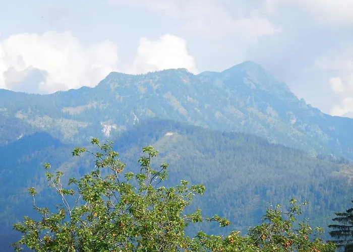 Feriegård Urlaub Am Bauernhof Blamauer Koehr *