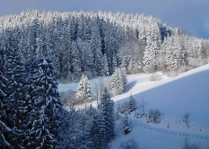 Urlaub Am Bauernhof Blamauer Koehr Feriegård