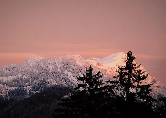 Urlaub Am Bauernhof Blamauer Koehr * Göstling an der Ybbs